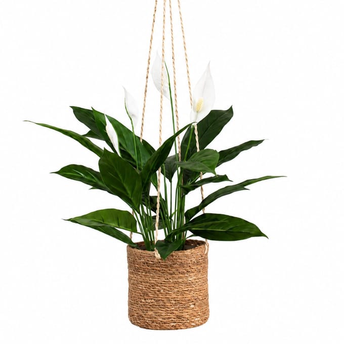 Kunstplant Spatiphyllum in hangmand naturel L100cm