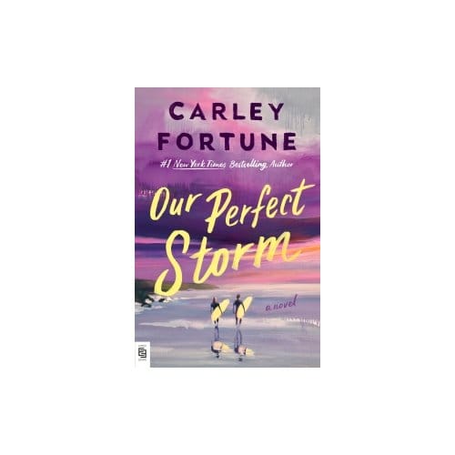 Our Perfect Storm - Carley Fortune