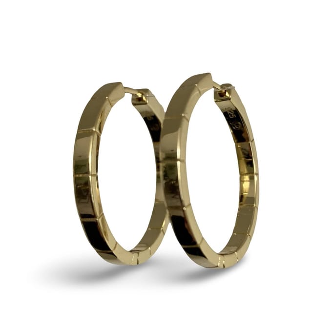 Oorring groot reliëf/14 karaat goldplated/2.5cm