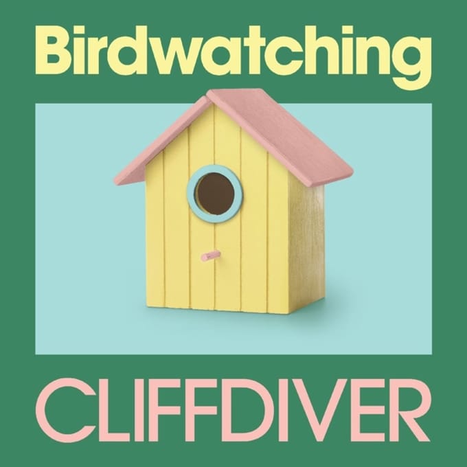 Birdwatchin - Cliffdiver