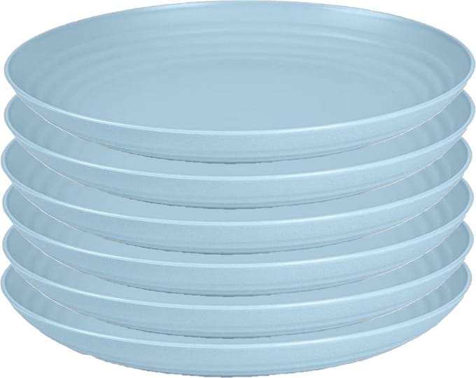PlasticForte Rond bord/camping bord - 6x - D25 cm - ijsblauw - kunststof