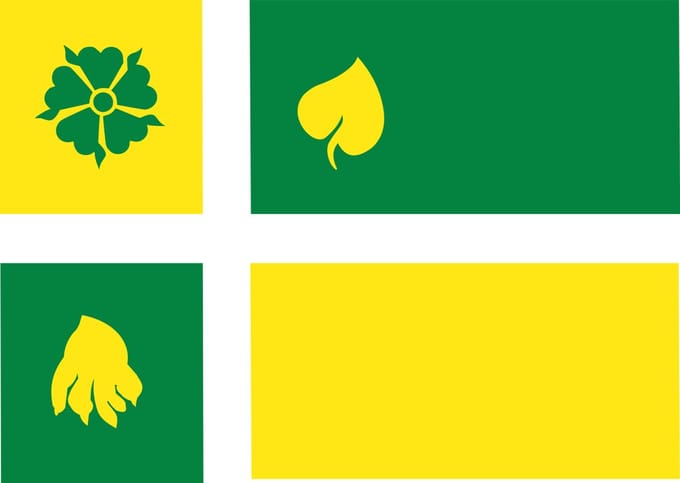 Vlag Hof van Twente 120x180cm
