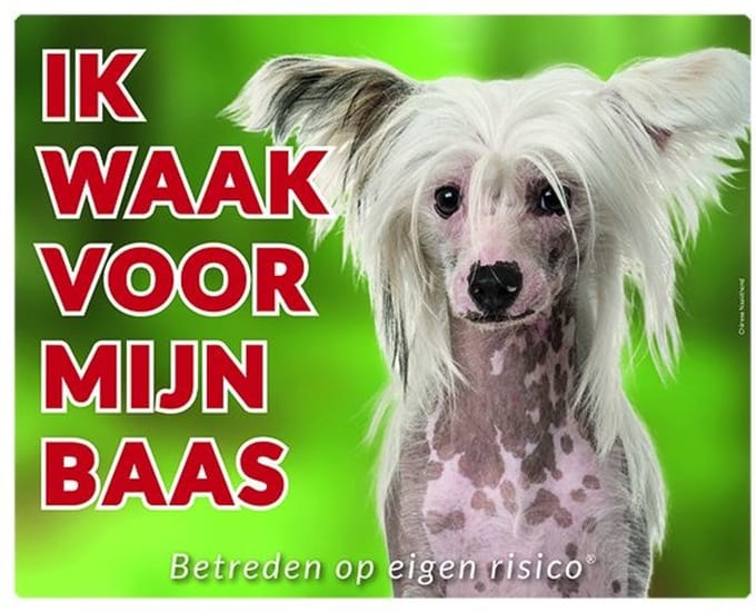 Chinese Naakthond Waakbord - Ik waak voor