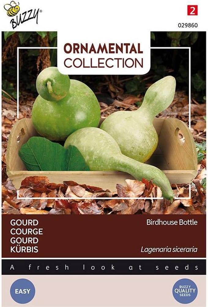 Buzzy Ornamental - Gourd Birdhouse/Bottle (Lagenaria leuc.)