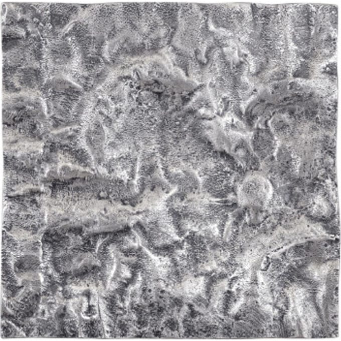 PTMD Wandpaneel Eogan - 50x5x50 cm - Aluminium - Metaal