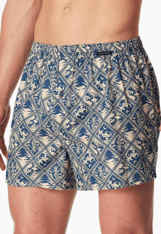 Boxershorts, set van 2, geweven stof, meerkleurig patroon - Boxershorts multipack 10