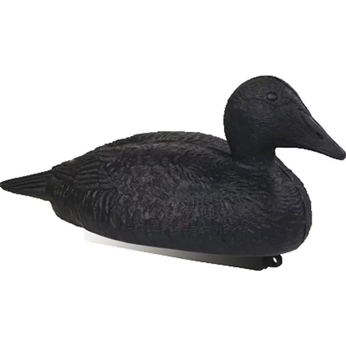 Eiderankers Stepland (x12)
