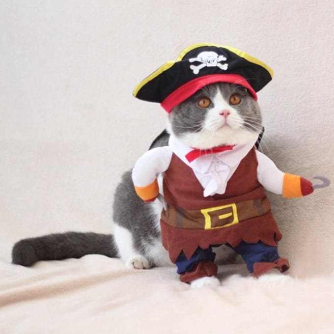 Polyester schattige duurzame huisdier Halloween kleding piraat grappig kostuum aankleden voor katten honden(S) S gray
