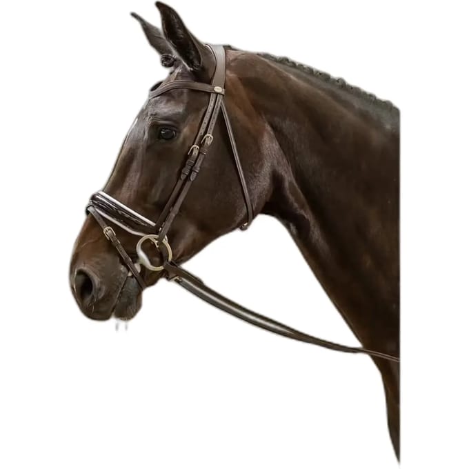 Breedte gecombineerde muserolle met glanzende afwerking en witte voering Dy'on