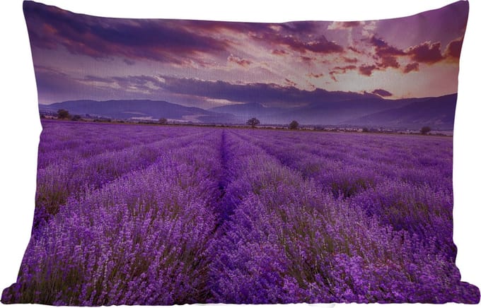 Buitenkussens - Tuin - Lavendel - Paars - Bloemen - Veld - 50x30 cm