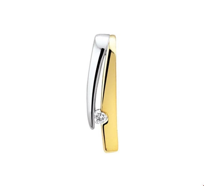 Bicolor Gouden Hanger zirkonia 4206460