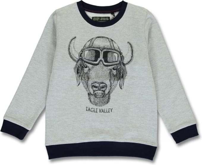 Lemon Beret Sweater Jongens - Grijs - 146491 - maat 128/134
