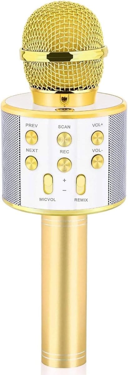 Karaoke Microfoon - Kinder Microfoon Speelgoed - Muziek Maken Zingen - Draagbaar Geluid - 25 x 8 cm - Diverse Kleuren