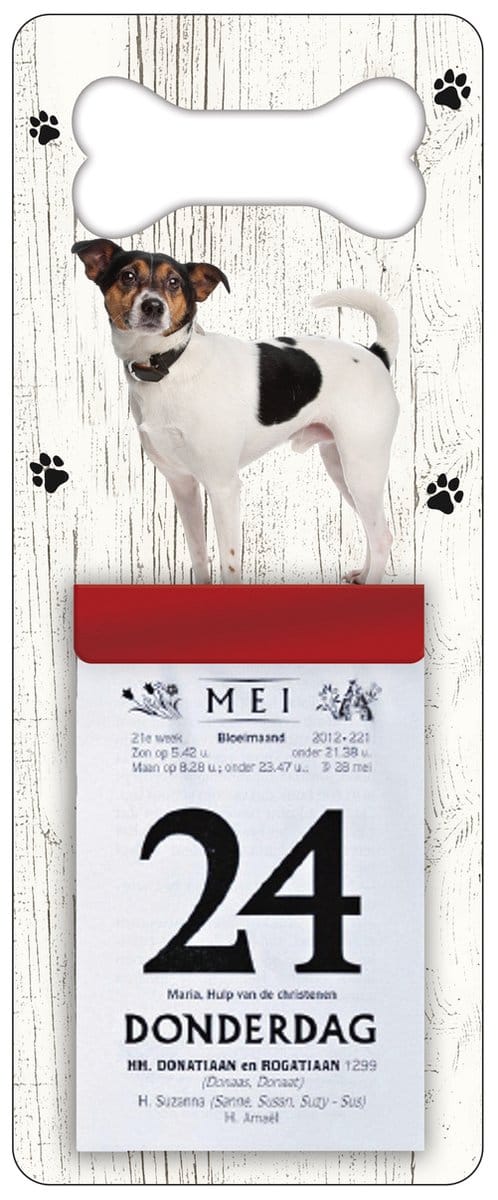 Scheurkalender 2027 Hond: Boerenfox