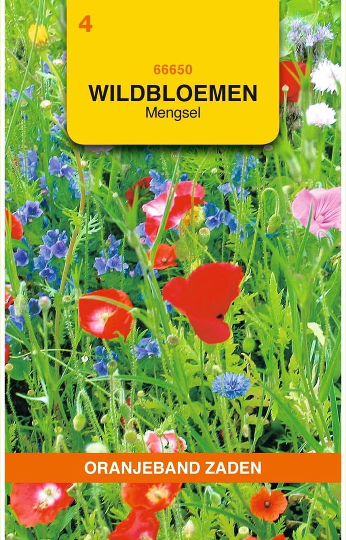Oranjebandzaden -  Wildbloemen mengsel eenjarig - 10 m²