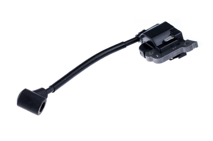 Ignition module