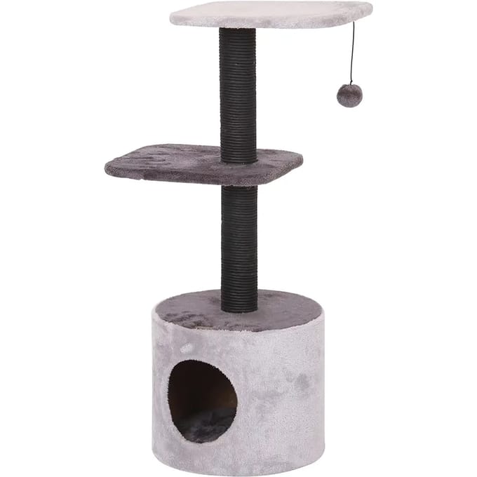 Kattenboom Ebi Trend Birch