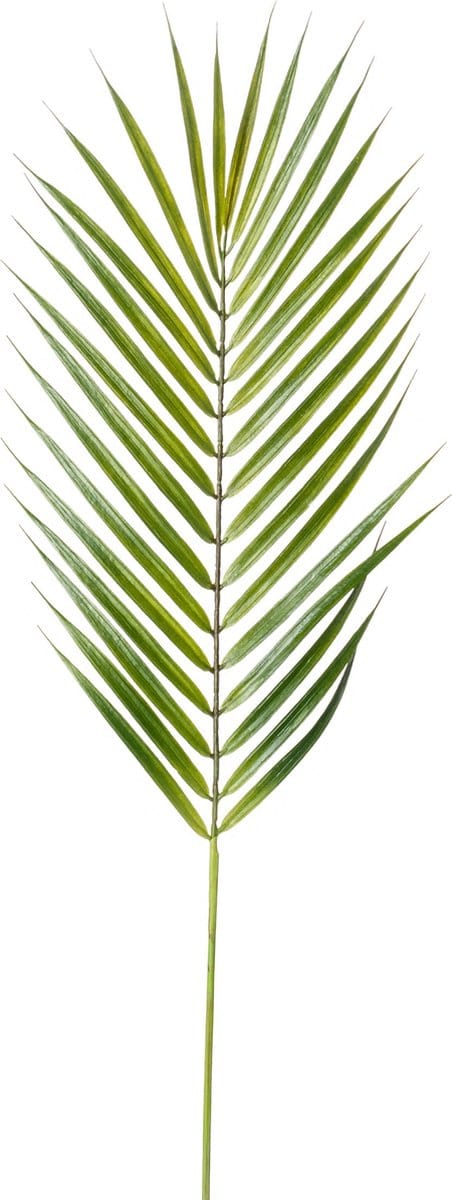 Emerald - Kunsttak Chamaedorea 75cm - Kunstplant voor binnen