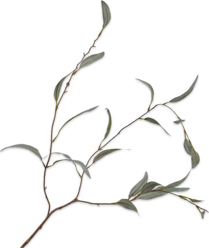 Silk-ka Kunstbloem-Kunsttak Eucalyptus Tak Groen 96 cm Voordeelaanbod Per 2 Stuks