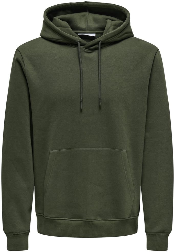 ONLY&SONS - ONSCONNOR LIFE REG SWEAT HOODIE NOOS - Heren - Sweaters
