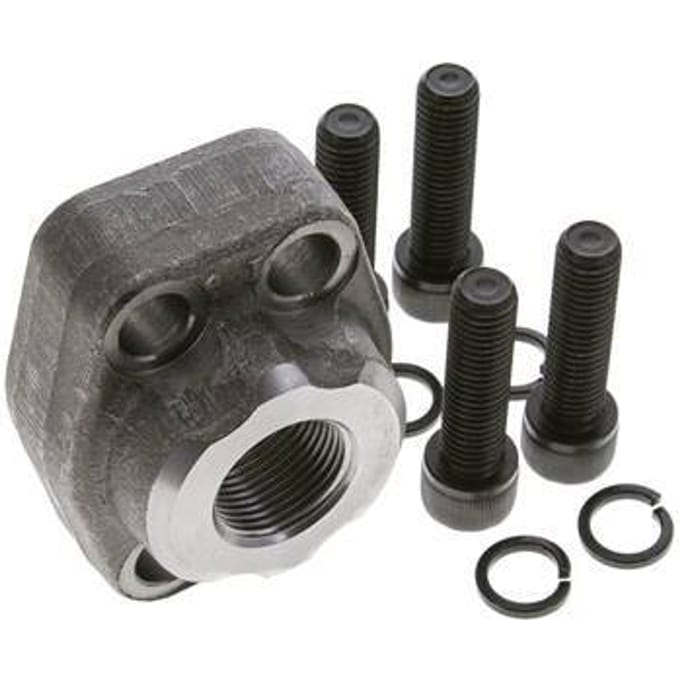 1'' SAE Flens 6000 psi Blank staal met G3/4'' Binnendraad ISO 6162-2