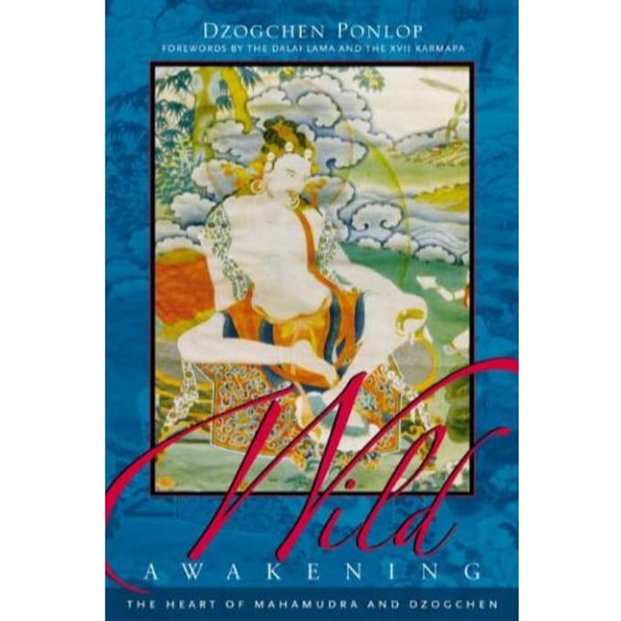 Wild Awakening - Dzogchen Ponlop, Rinpoche
