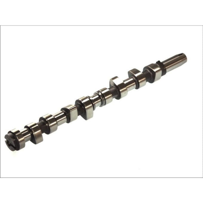 Nokkenas  AE CAM376