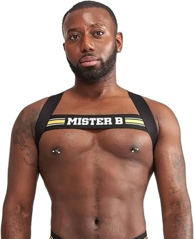 Mister B Urban Club harnas X-back Gestreept Geel