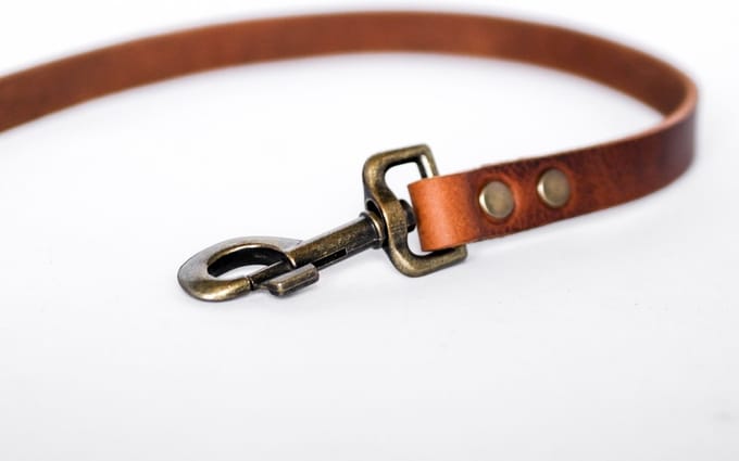 Cooper & Quint No Fuss Hondenriem - Bruin - Smal - 105 cm - Oud Messing
