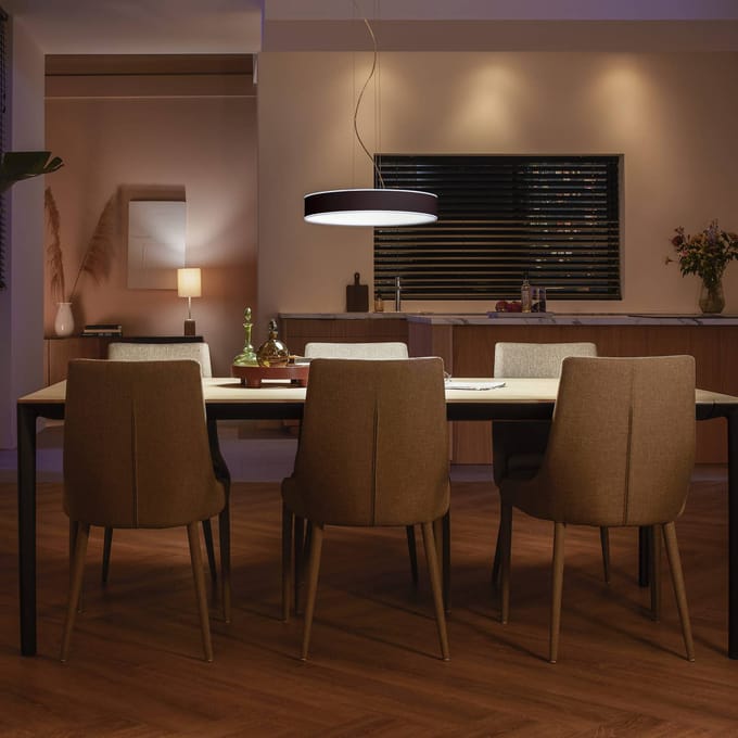Philips Hue Enrave hanglamp - warm tot koelwit licht - zwart - 1 dimmer switch