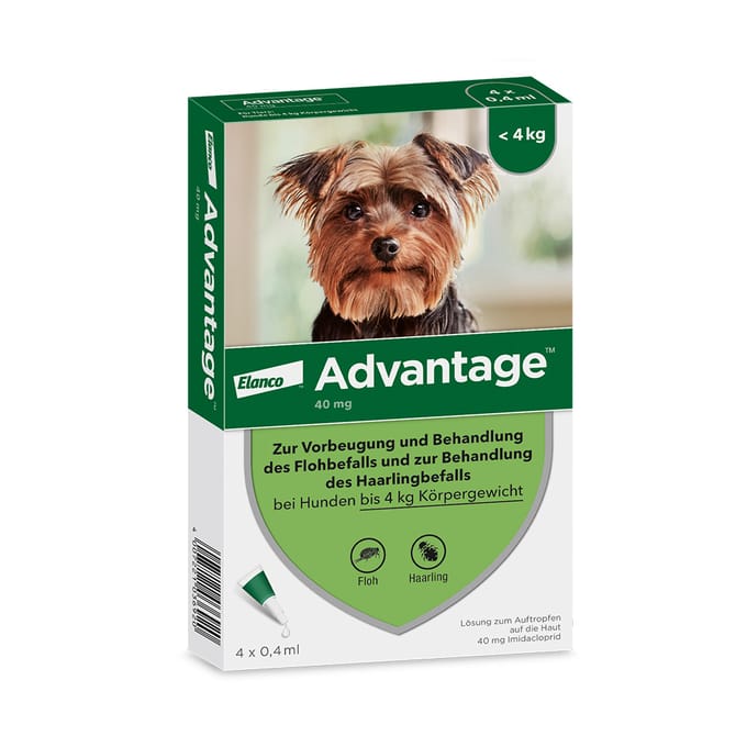 AdvantageÂ 40 voor honden van minder dan 4 kg 4 Pipetten - NL