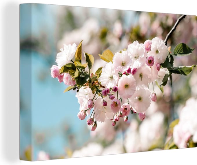 Canvas Schilderij Bloemen - Bloesem - Lente - 90x60 cm - Wanddecoratie