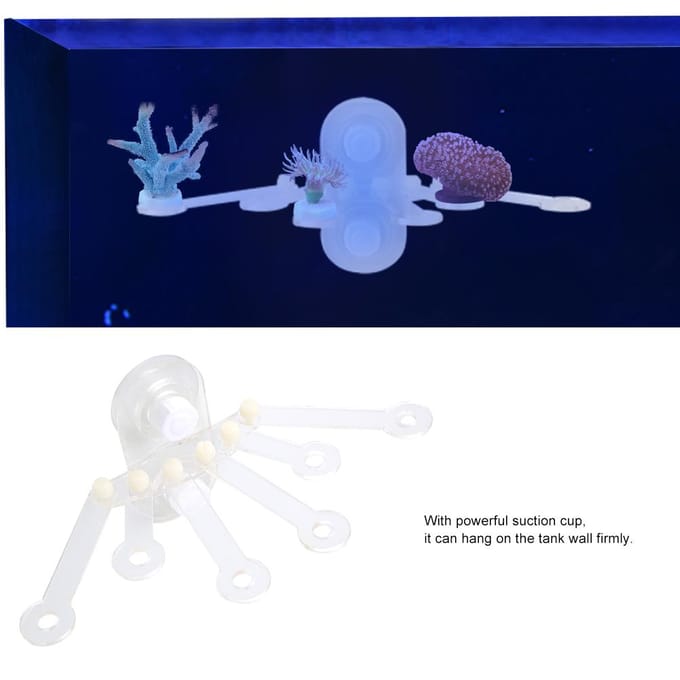 Support de support pour aquarium en acrylique avec ventouses