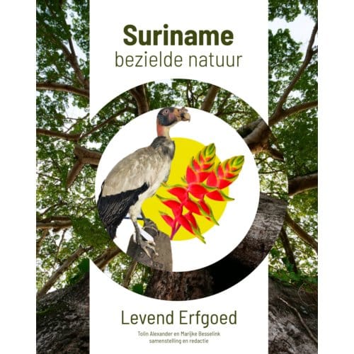 Suriname, Bezielde Natuur - Tolin Alexander