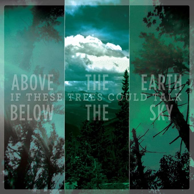 If These Trees Could Talk - Above The Earth, Below The Sky (LP) (Reissue)