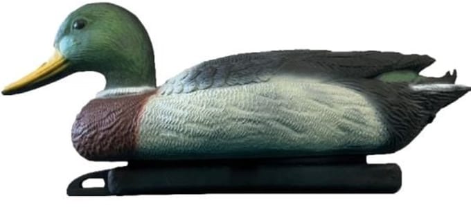 SuperFish Deco Vogel Wilde Eend Man