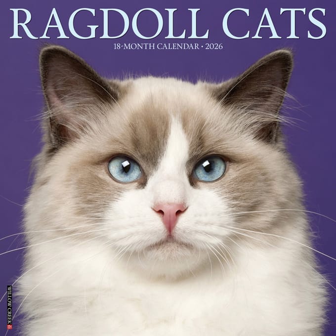 Ragdoll Kalender 2026
