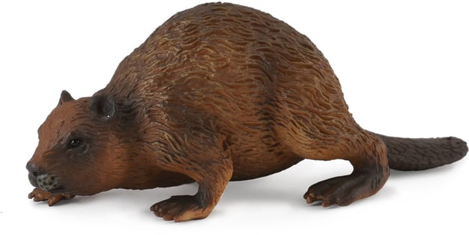 COLLECTA Figurine - Bever - (M) - Bosdieren - Handgeschilderd - Miniatuur