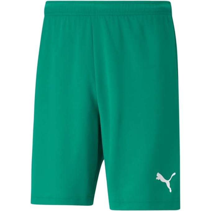 Short Puma teamRISE