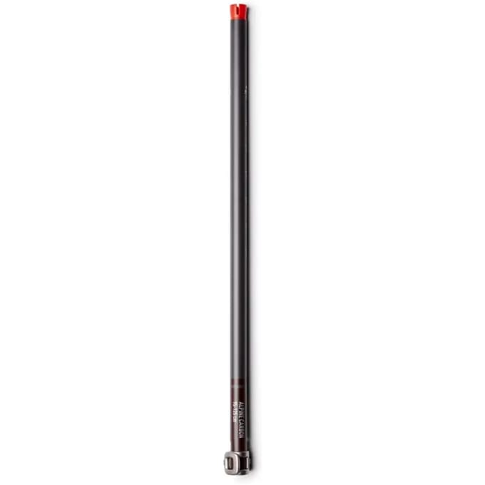 Skistokken voor dames Black Diamond Carbon W FL