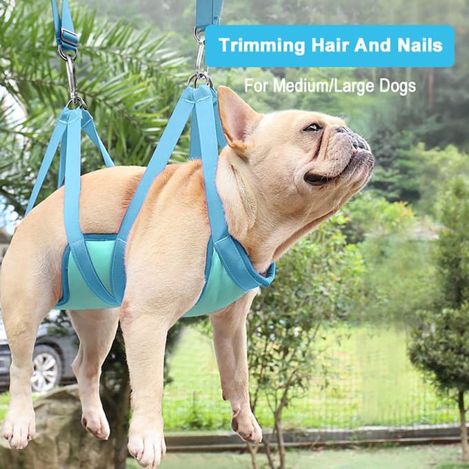 Hamac de toilettage pour chiens de taille moyenne/grande, avec coupe-ongles/coupe-ongles/ciseaux de toilettage M blue