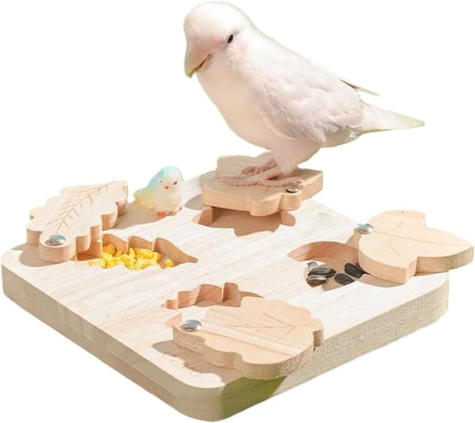 Vogel Voedsel Puzzel - Vogel Speelgoed - Mentale Verrijking - Interactief Graafspel - 14.5 x 14.5 x 3 cm