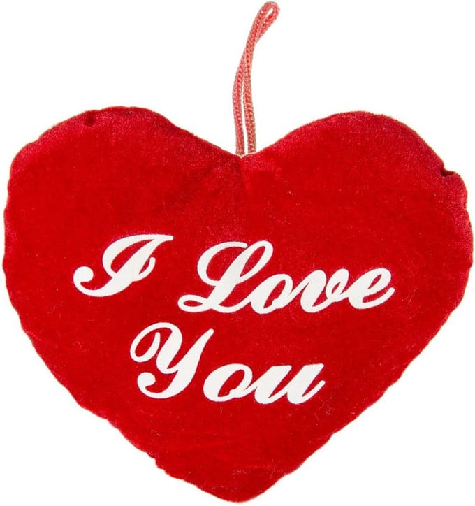 Pluche rood hart kussen I Love You 22 cm