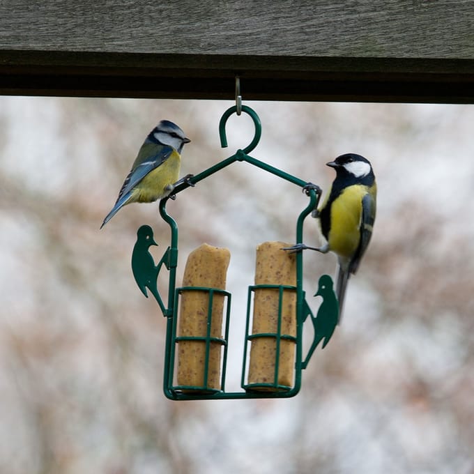 CJ Wildlife - Energierolhanger - Groen - Vogelvoederplek