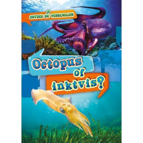 Octopus Of Inktvis? - Ontdek De Verschillen - Christina Leaf