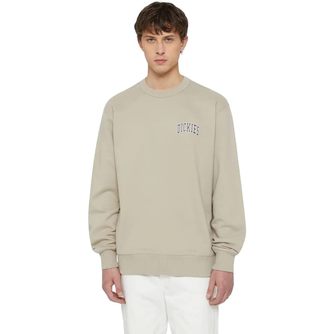 Sweatshirt Dickies Aitkin