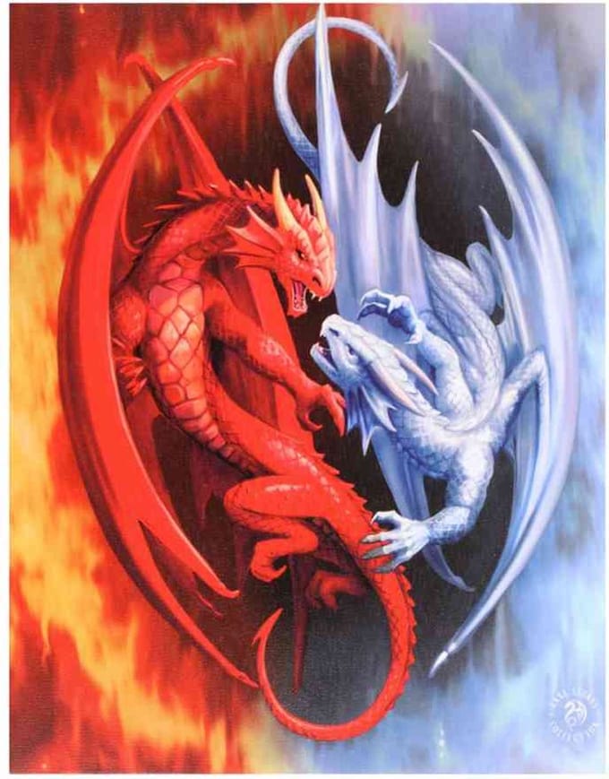 Something Different - 19x25cm Fire and Ice Canvas afbeelding - Multicolours
