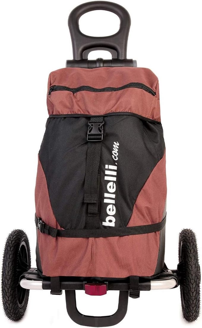 Stevige Fietskar voor Boodschappen en Bagage - 25 kg Laadvermogen
