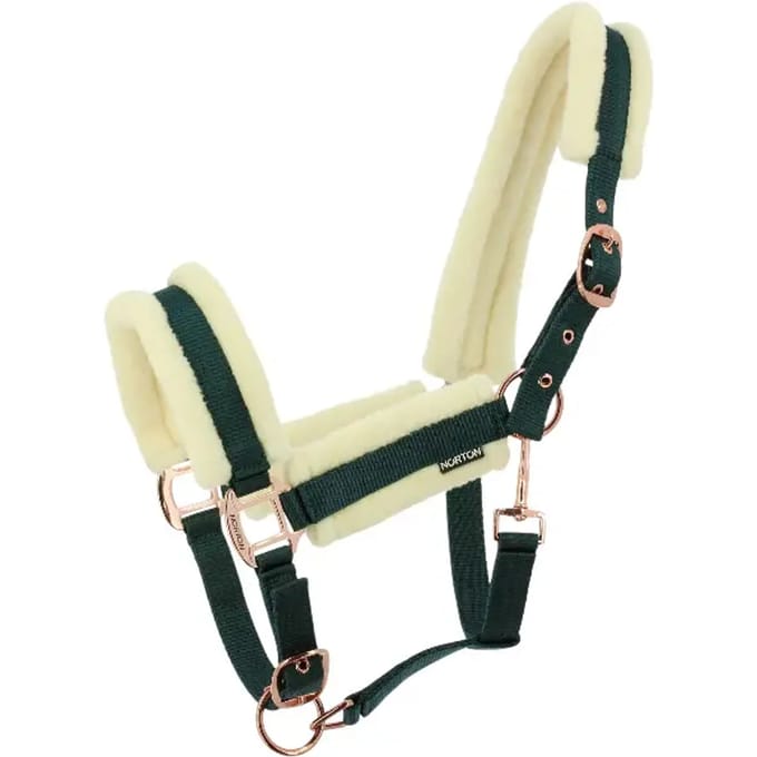 Halster voor paarden Norton Comfy