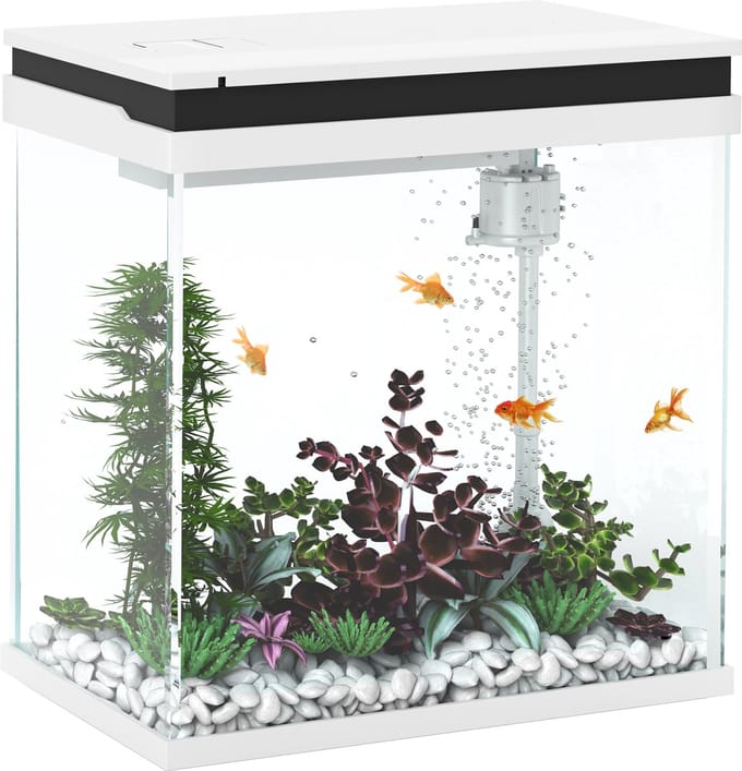 PawHut Aquarium - Glas - 30x20x33cm - Wit